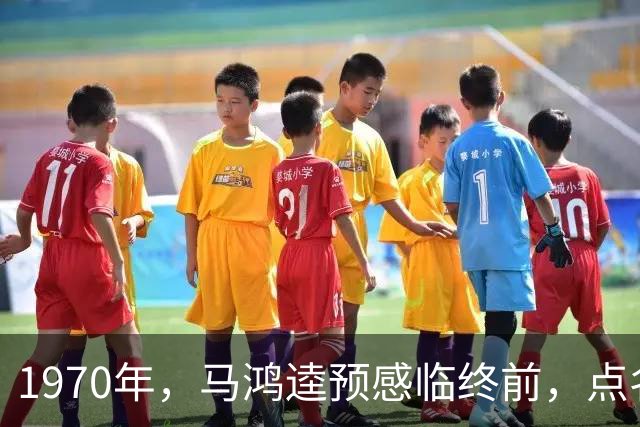 1970年，马鸿逵预感临终前，点名要见四姨太刘慕侠：我有2个要求
